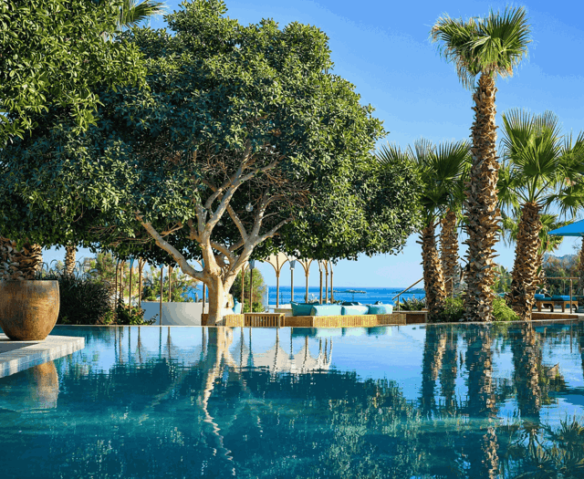 Palazzo Navarone (2)